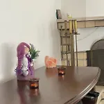 ника *