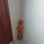 ника *