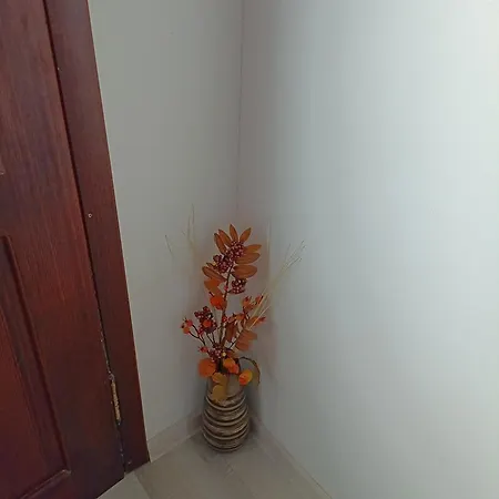 ника *