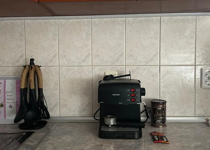 ника Каварна